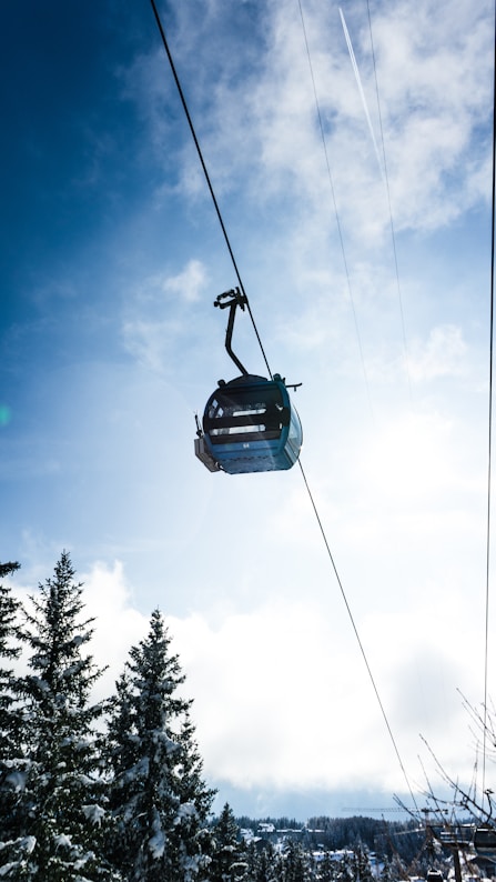 Nam a fermentum mauris